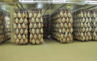 proceso de curación del jamón ibérico