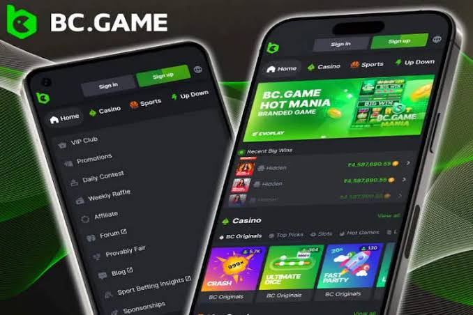 تسجيل الدخول إلى BC.Game كل ما تحتاج معرفته تسجيل الدخول إلى BC.Game كل ما تحتاج معرفته